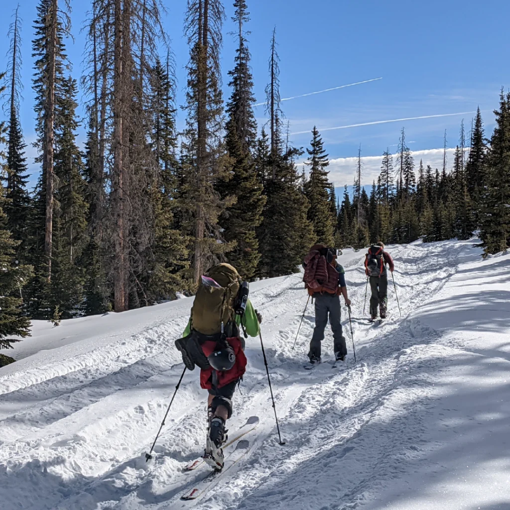 Three young adults with backpacks trek through a snowy trail on skis