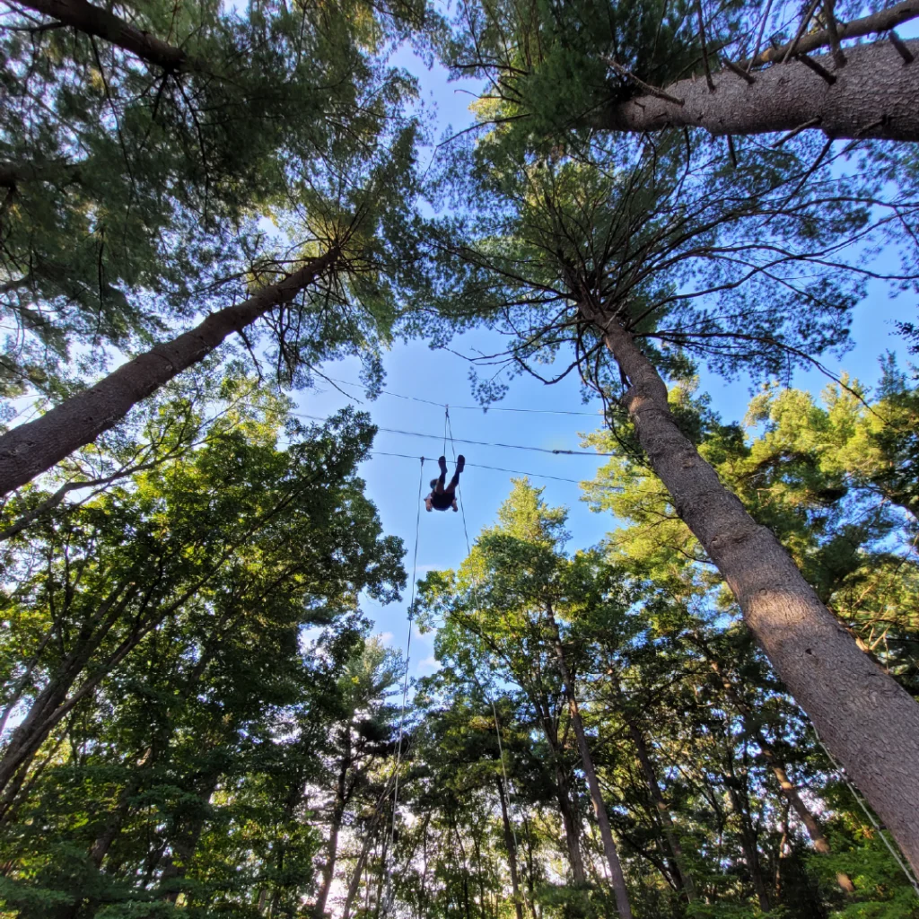 A person in a harness swings on a challenge course between trees